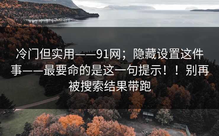 冷门但实用——91网；隐藏设置这件事——最要命的是这一句提示！！别再被搜索结果带跑